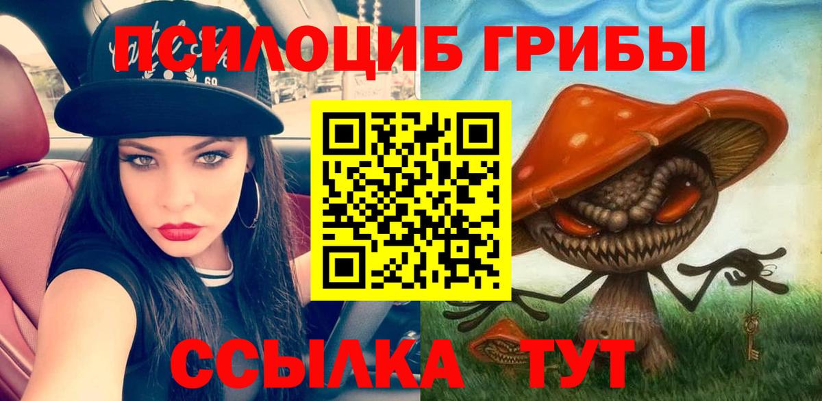 Псилоцибиновые грибы Psilocybine cubensis Удомля
