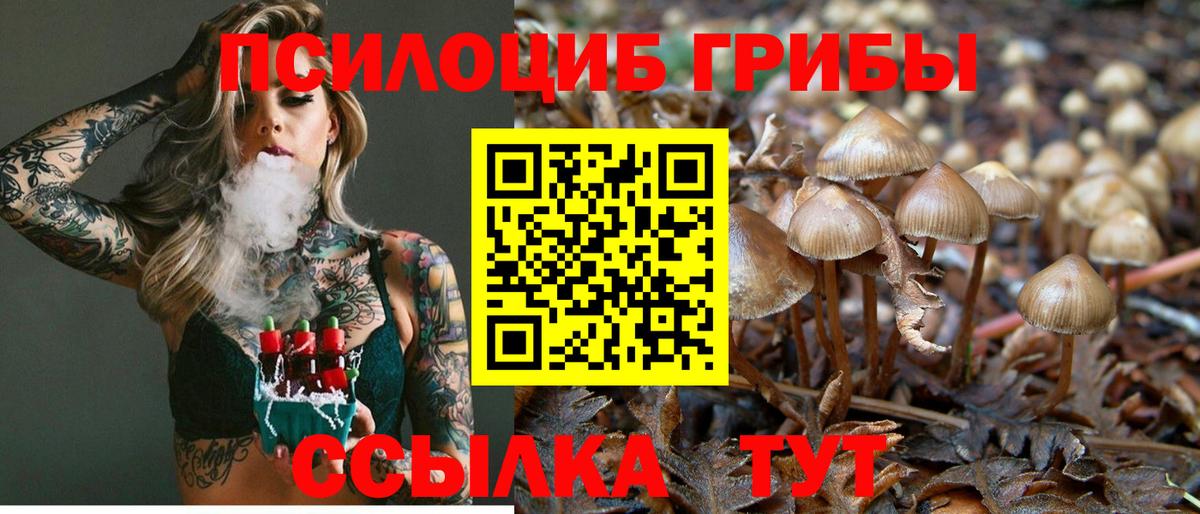 Галлюциногенные грибы Psilocybe  Вход с VPN  Удомля  Псилоцибиновые грибы GOLDEN TEACHER 